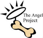 angel-project-2-color.jpg